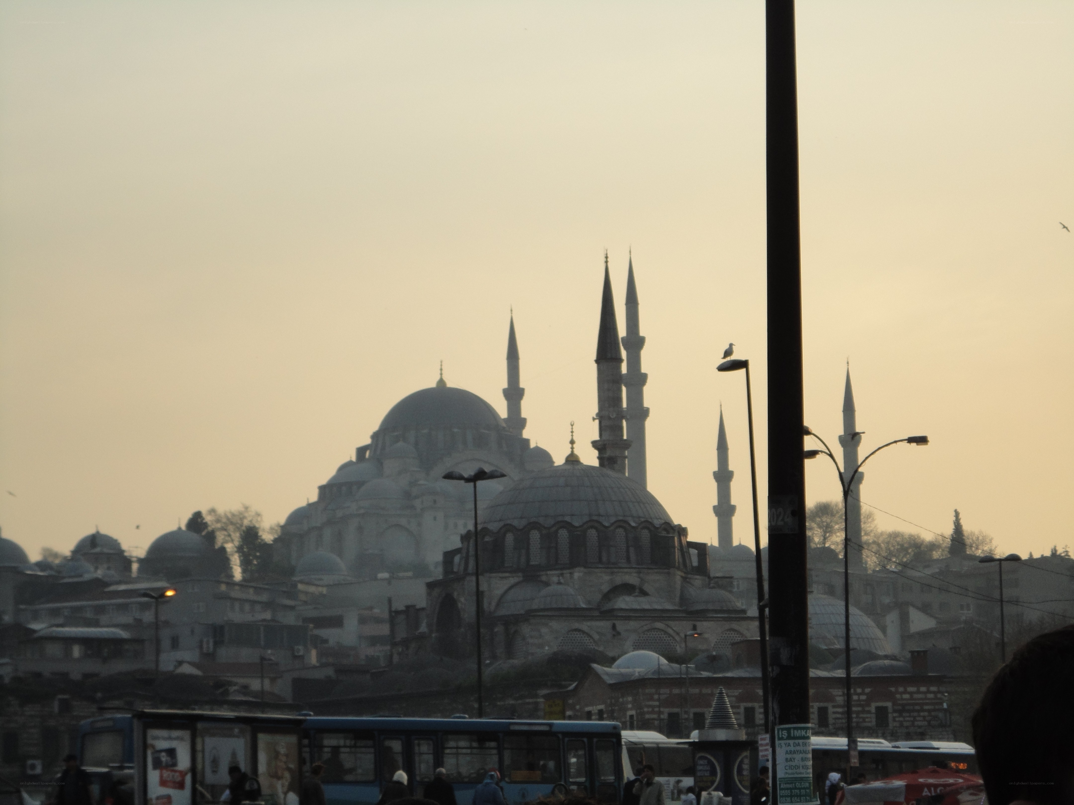 mosque with domes and minarets