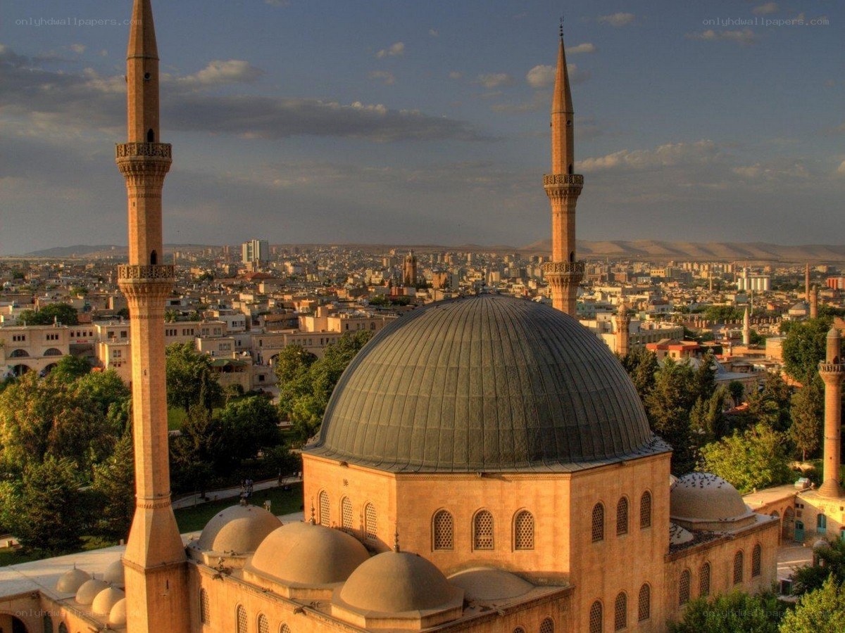 Mosque with domes and minarets
