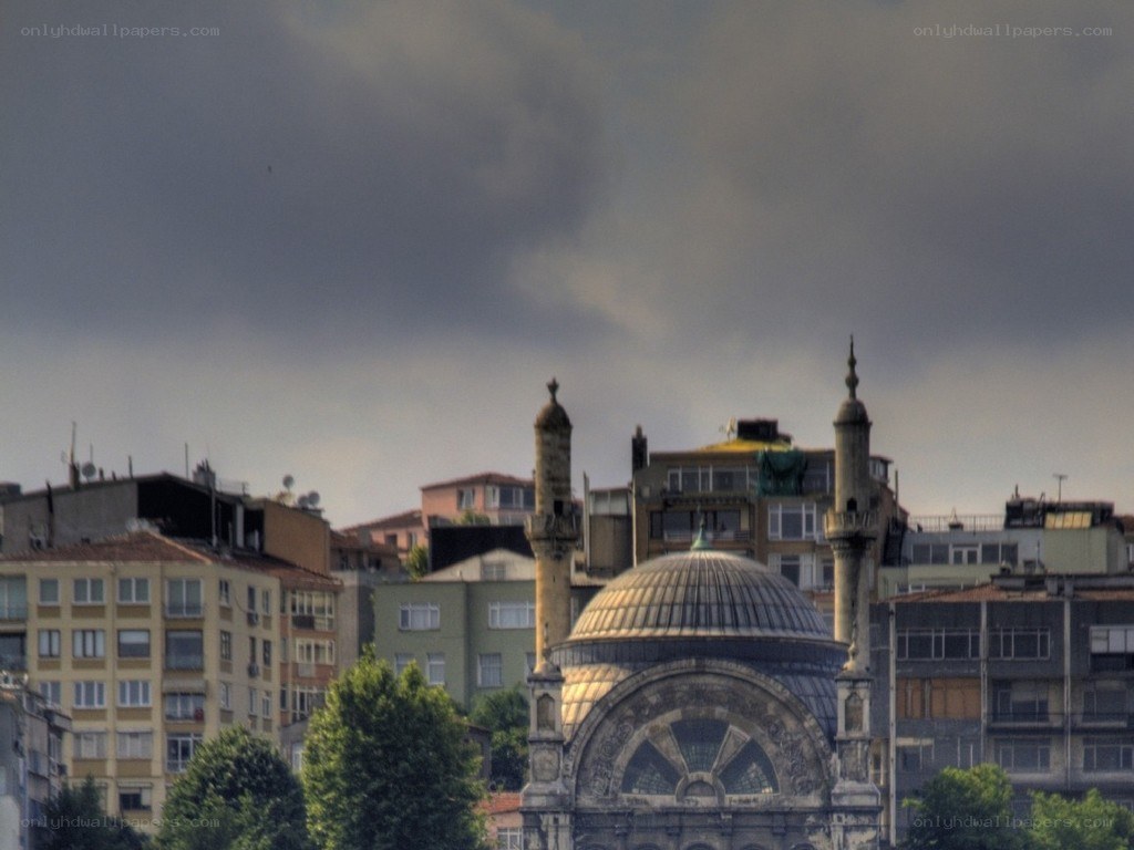 Mosque with domes and minarets