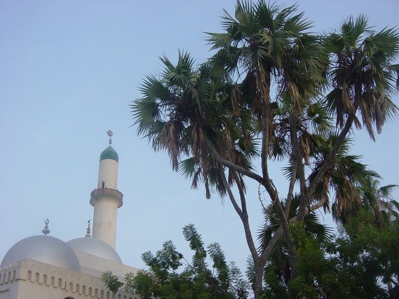 Mosque with palm trees