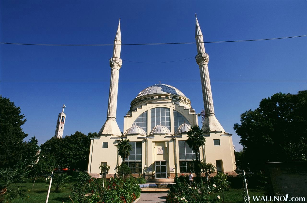 Mosque with twin minarets
