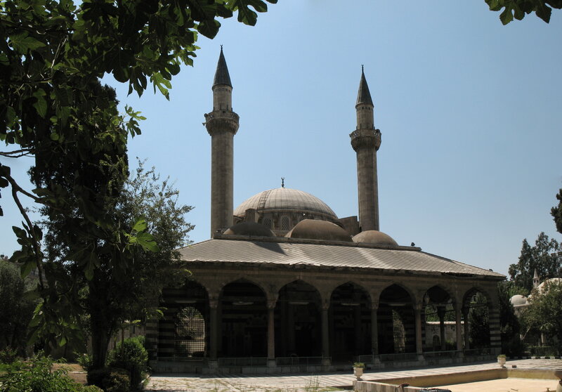 Mosque with twin minarets