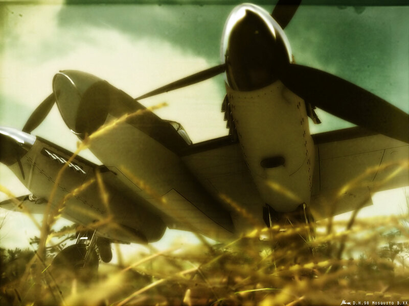 Mosquito B.XX in tall grass