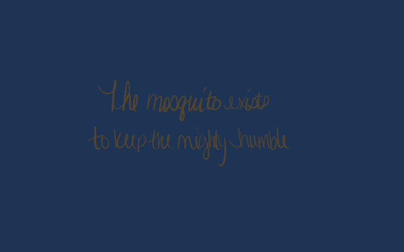 mosquito keeps mighty humble