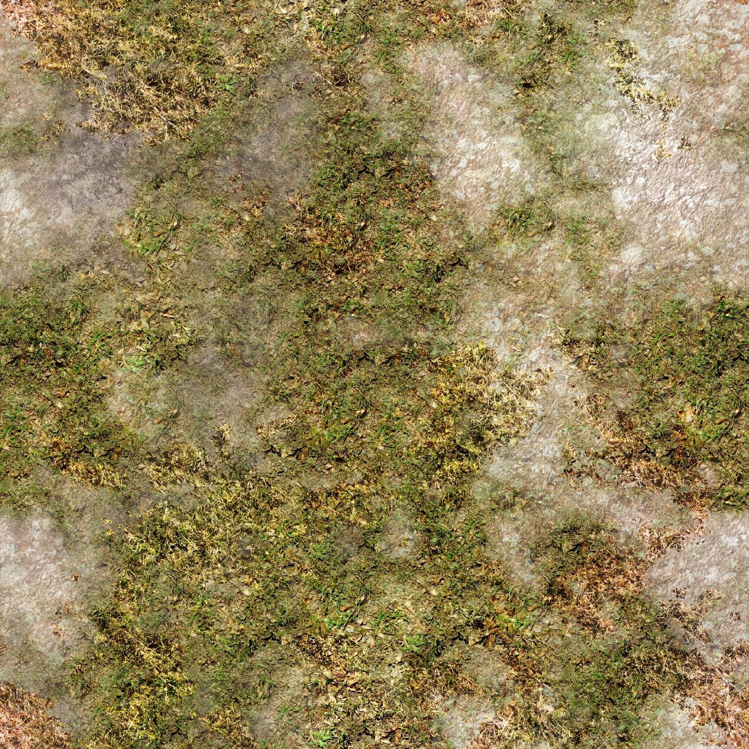 moss and grass on stone