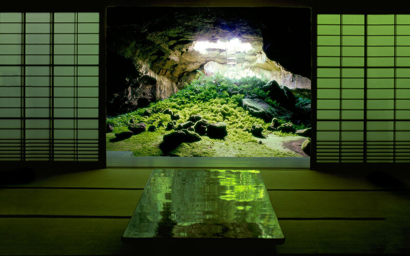Moss cave installation