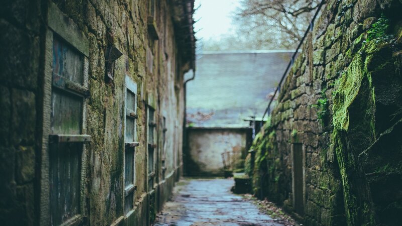 Moss-covered Alleyway