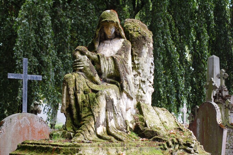Moss-covered angel statue in cemetery