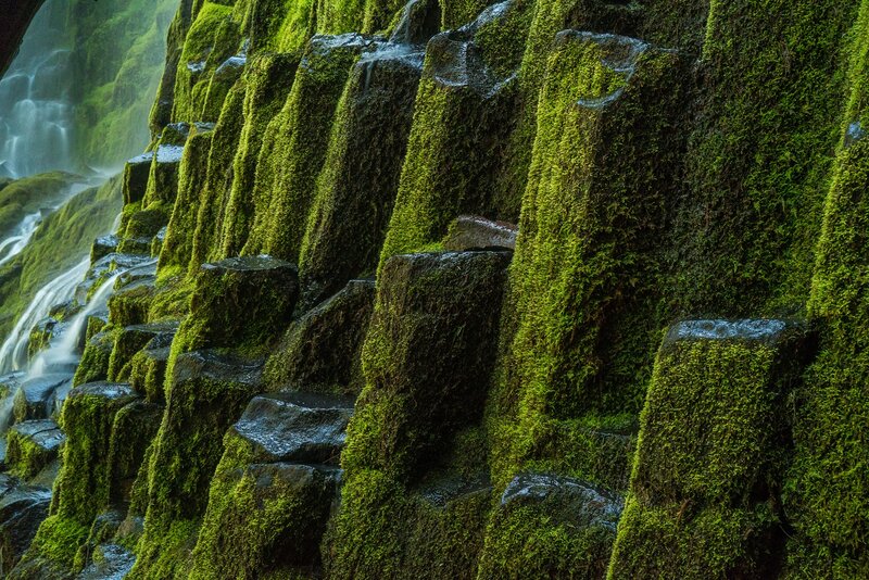 Moss-covered Basalt Columns