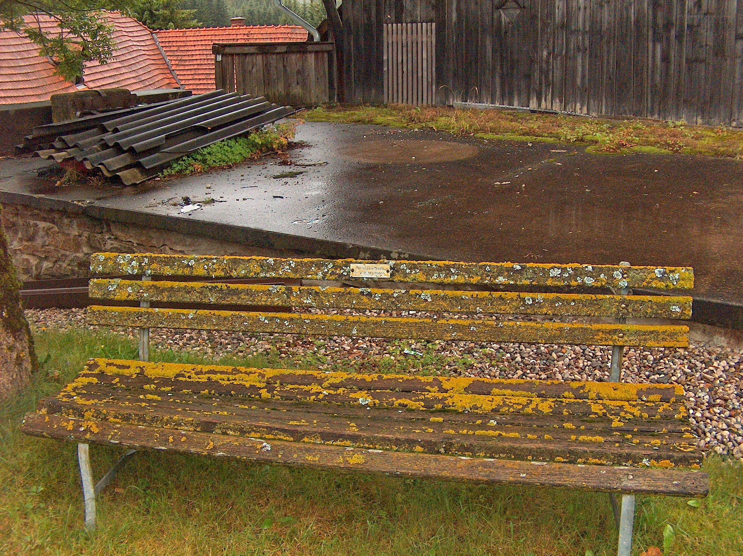 Moss-covered bench in courtyard