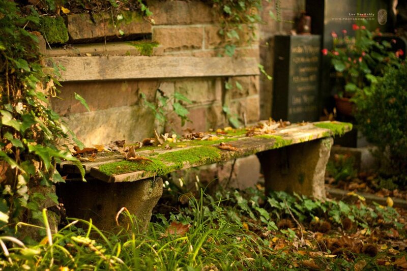 Moss-covered Bench
