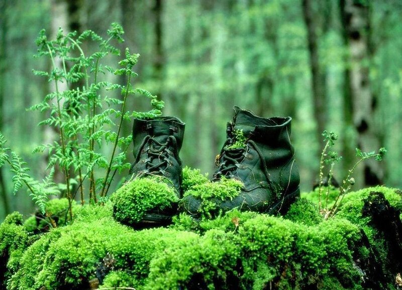 Moss-covered Boots