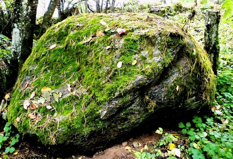 Moss-covered Boulder — Green
