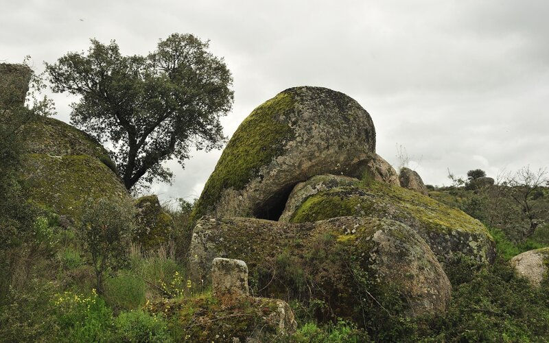 Moss-covered boulders in a natural landscape