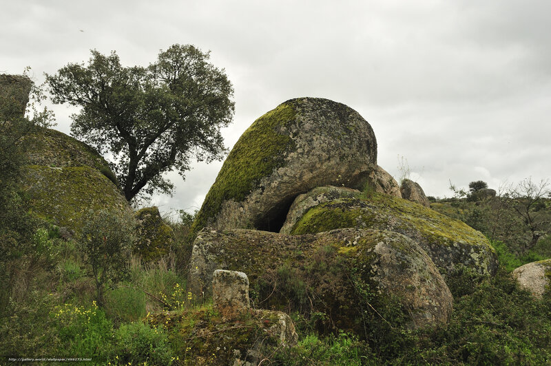 Moss-covered boulders in a natural landscape