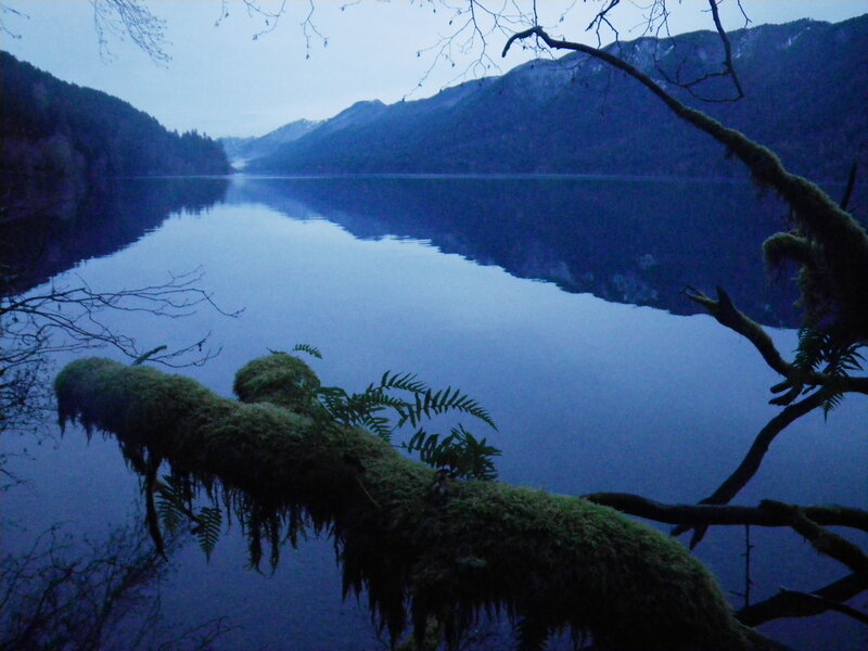 Moss-covered Branch over Lake
