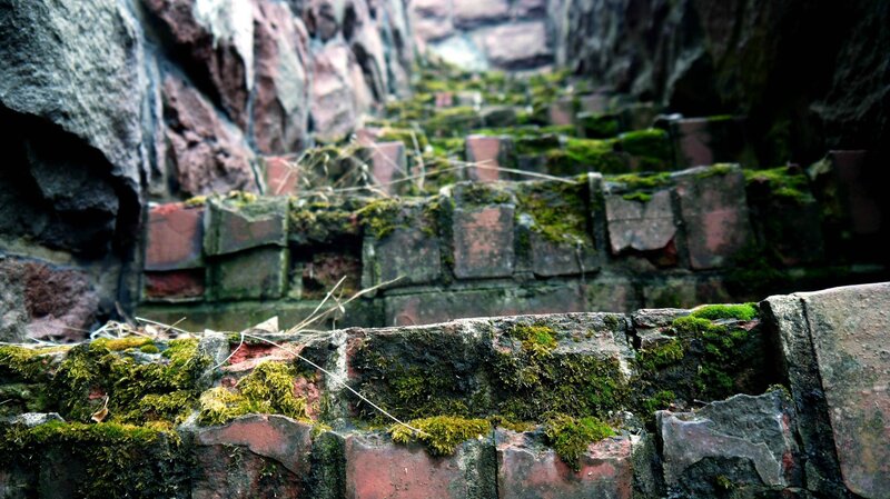 Moss-covered Brick Steps