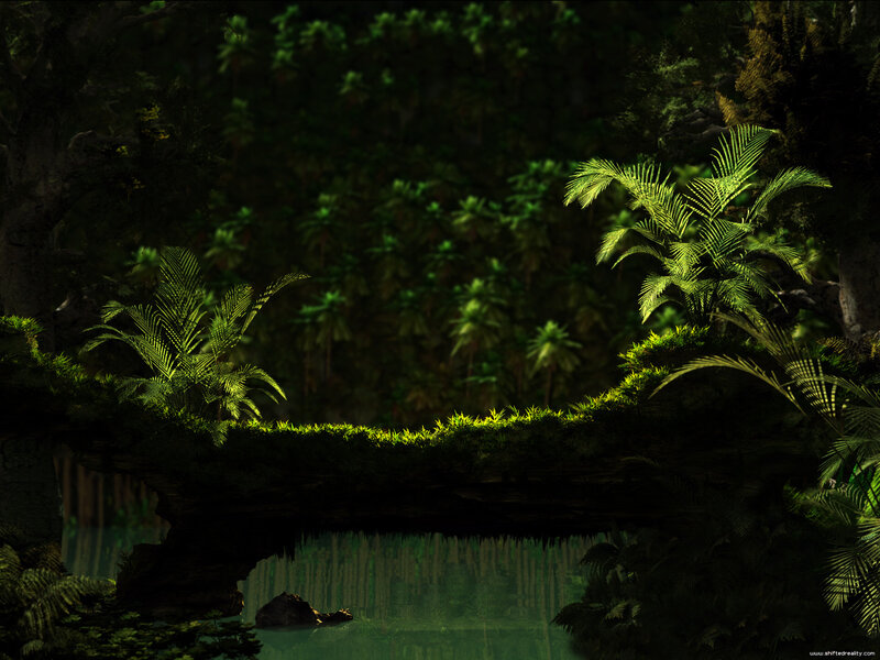 Moss-covered Bridge in Jungle