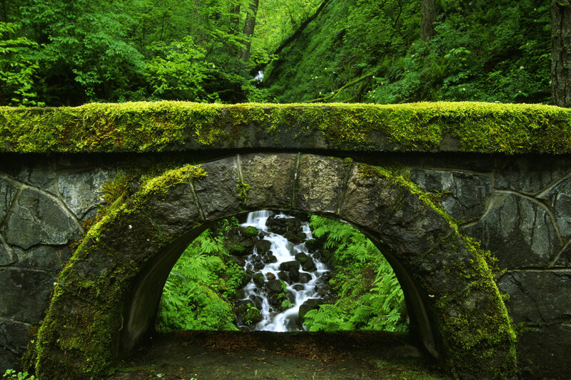 Moss-covered bridge over stream