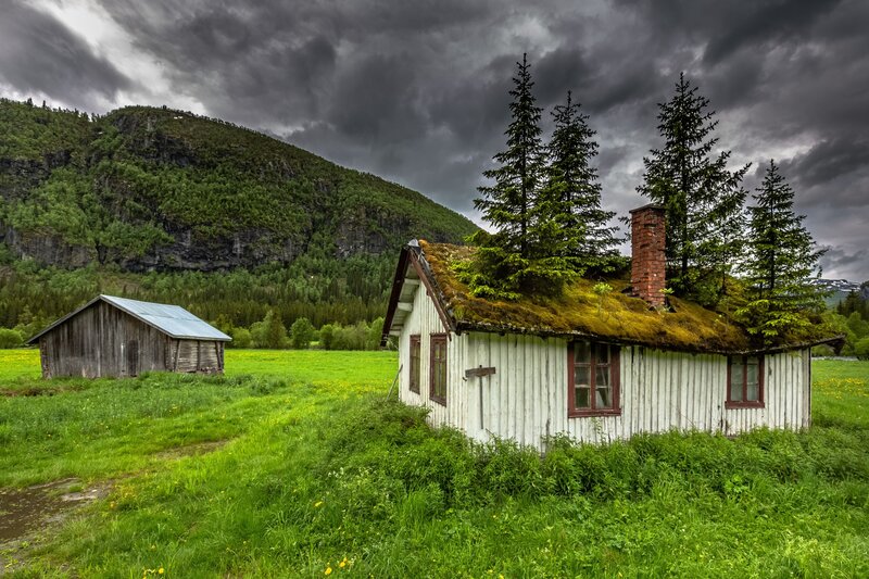 Moss-covered Cabin