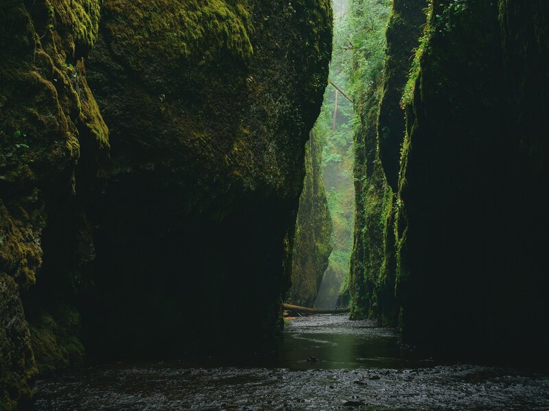 Moss-covered Canyon — Green, Dark