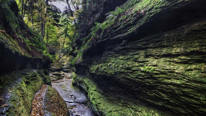 Moss-covered Canyon — Green, Serene, Autumn