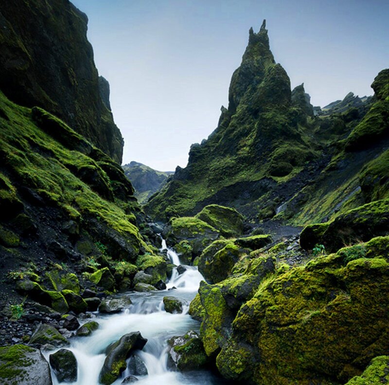 Moss-covered Canyon — Green, Serene, Morning