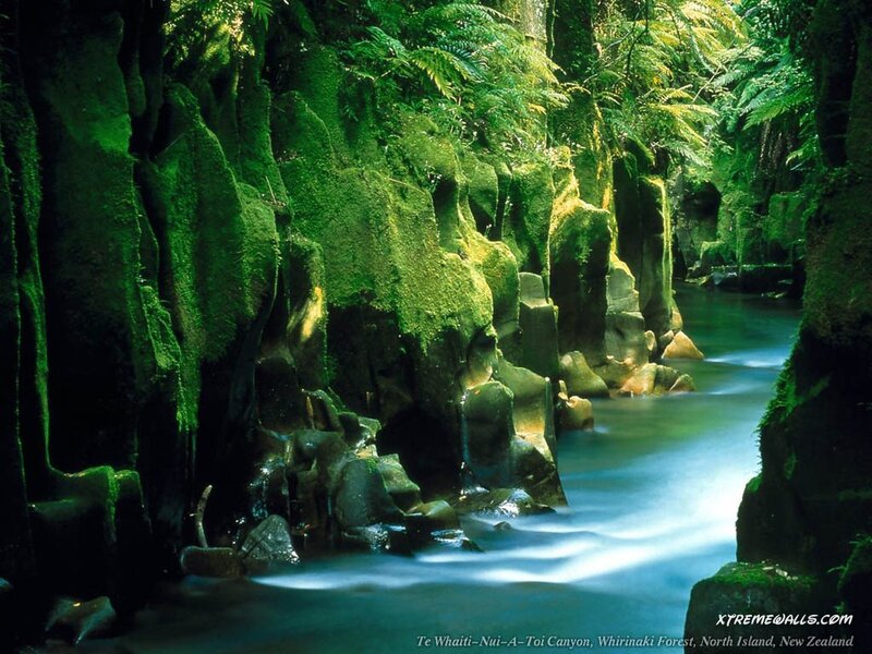 Moss-covered Canyon — Green, Serene