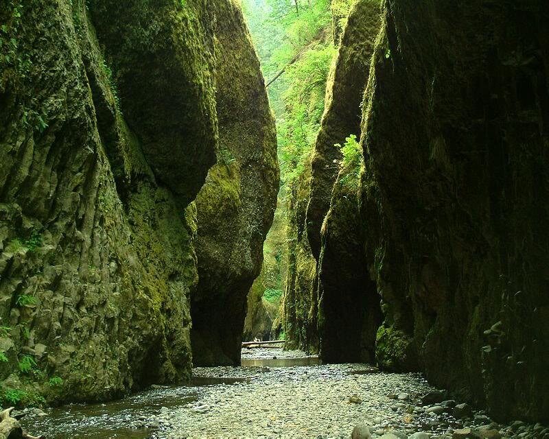 Moss-covered Canyon — Green