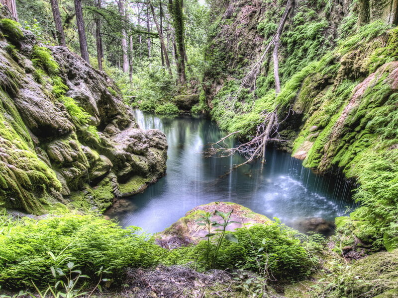 Moss-covered Canyon Pool