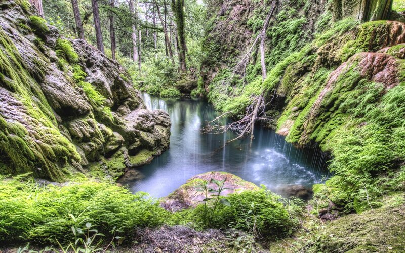 Moss-covered Canyon Stream — Green, Serene, Afternoon