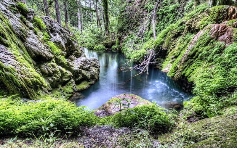Moss-covered Canyon Stream — Green, Serene