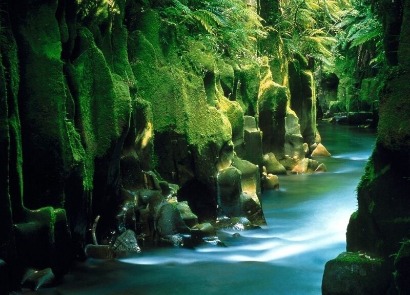 Moss-covered Canyon