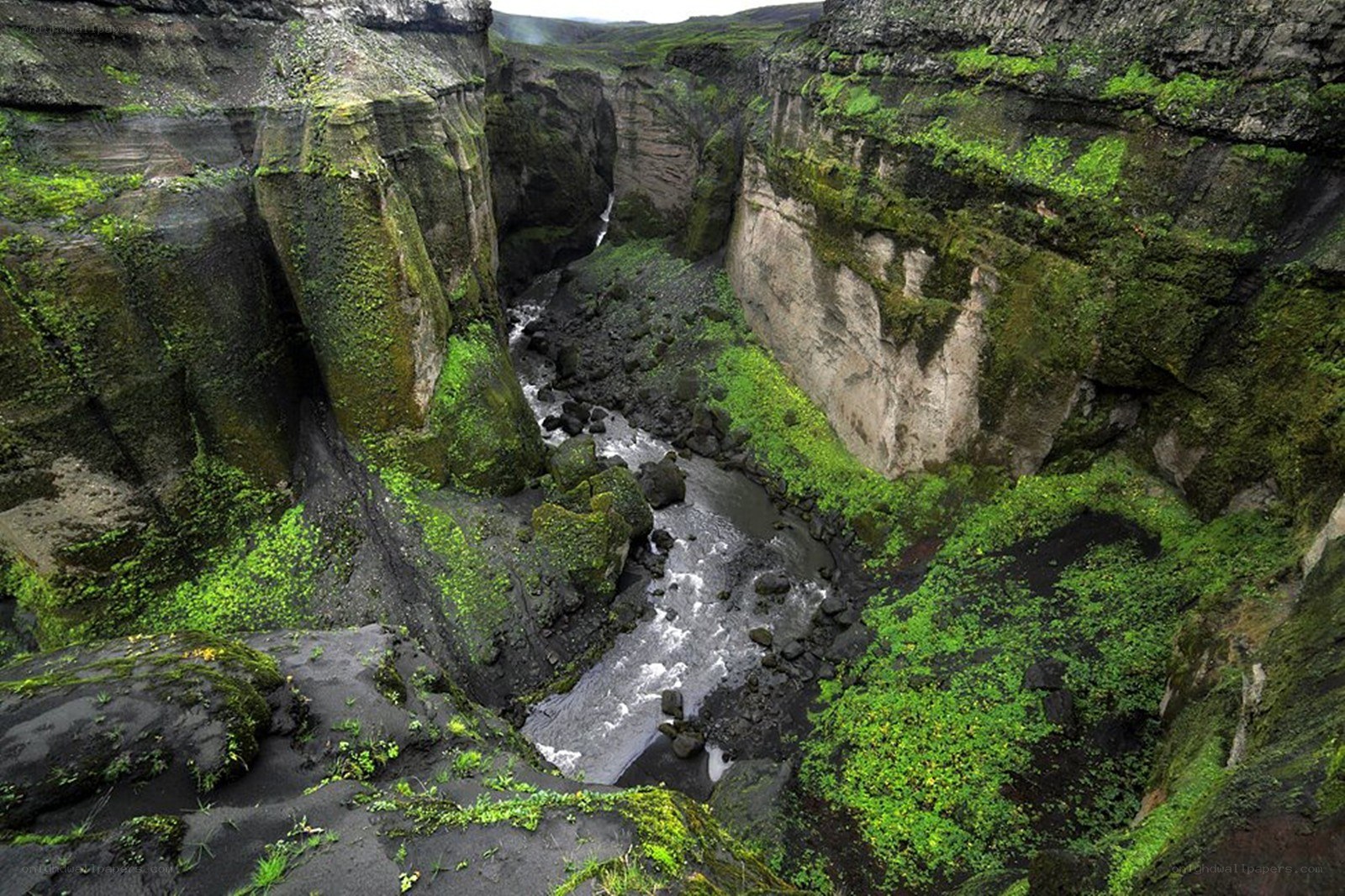 Moss-covered canyon with river