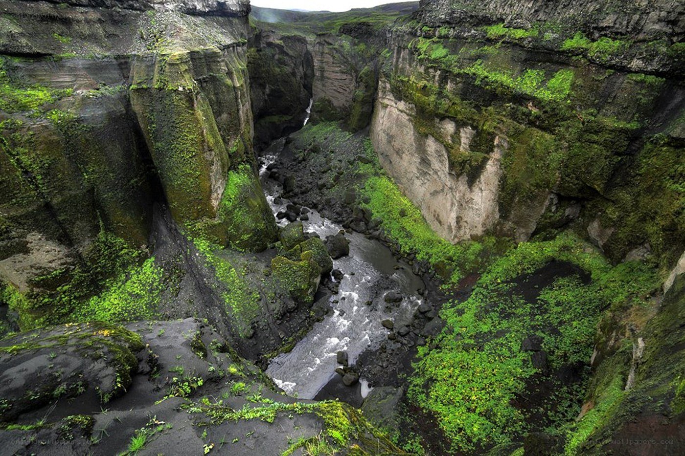 Moss-covered canyon with river