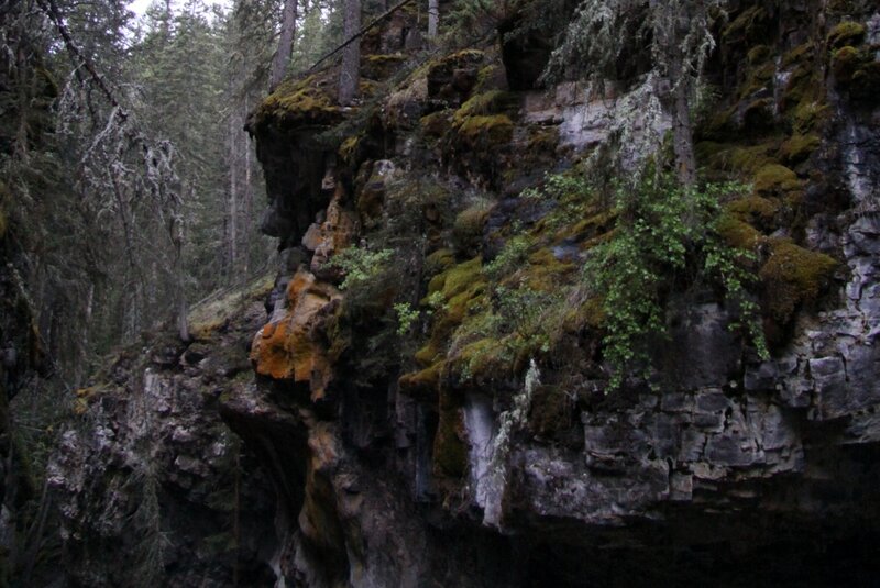 Moss-covered Cliff Face — Green
