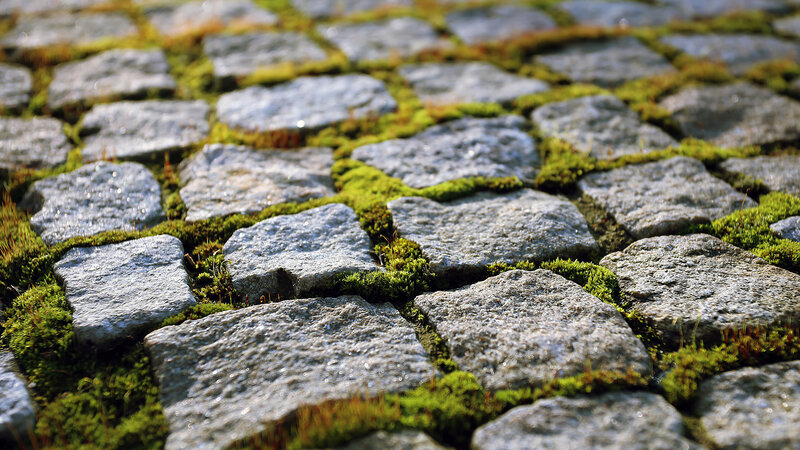 Moss-covered Cobblestones