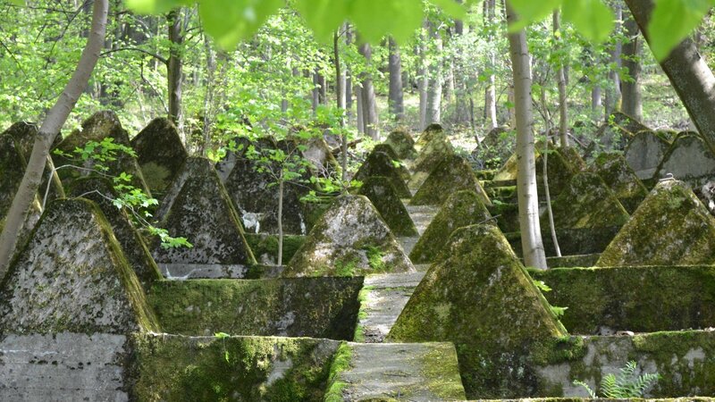 Moss-covered concrete structures in forest