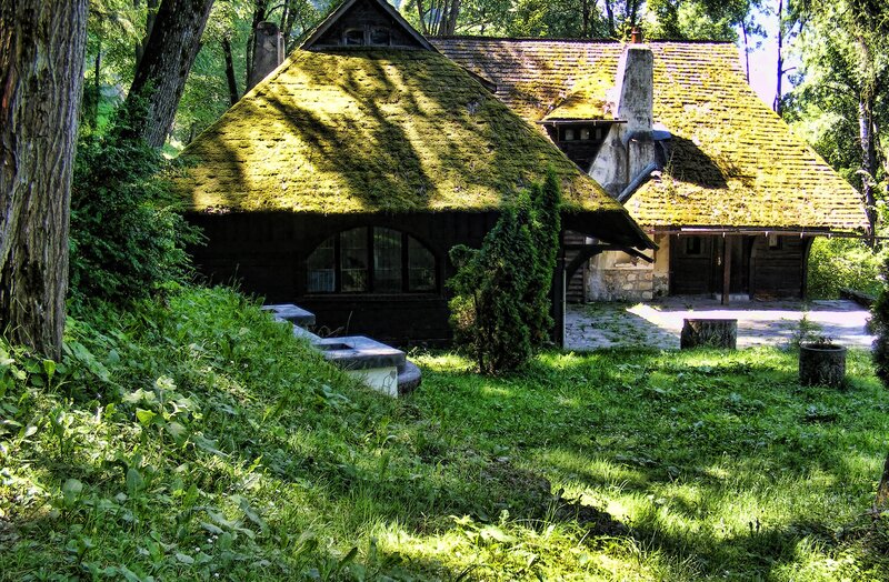 Moss-covered cottage in forest