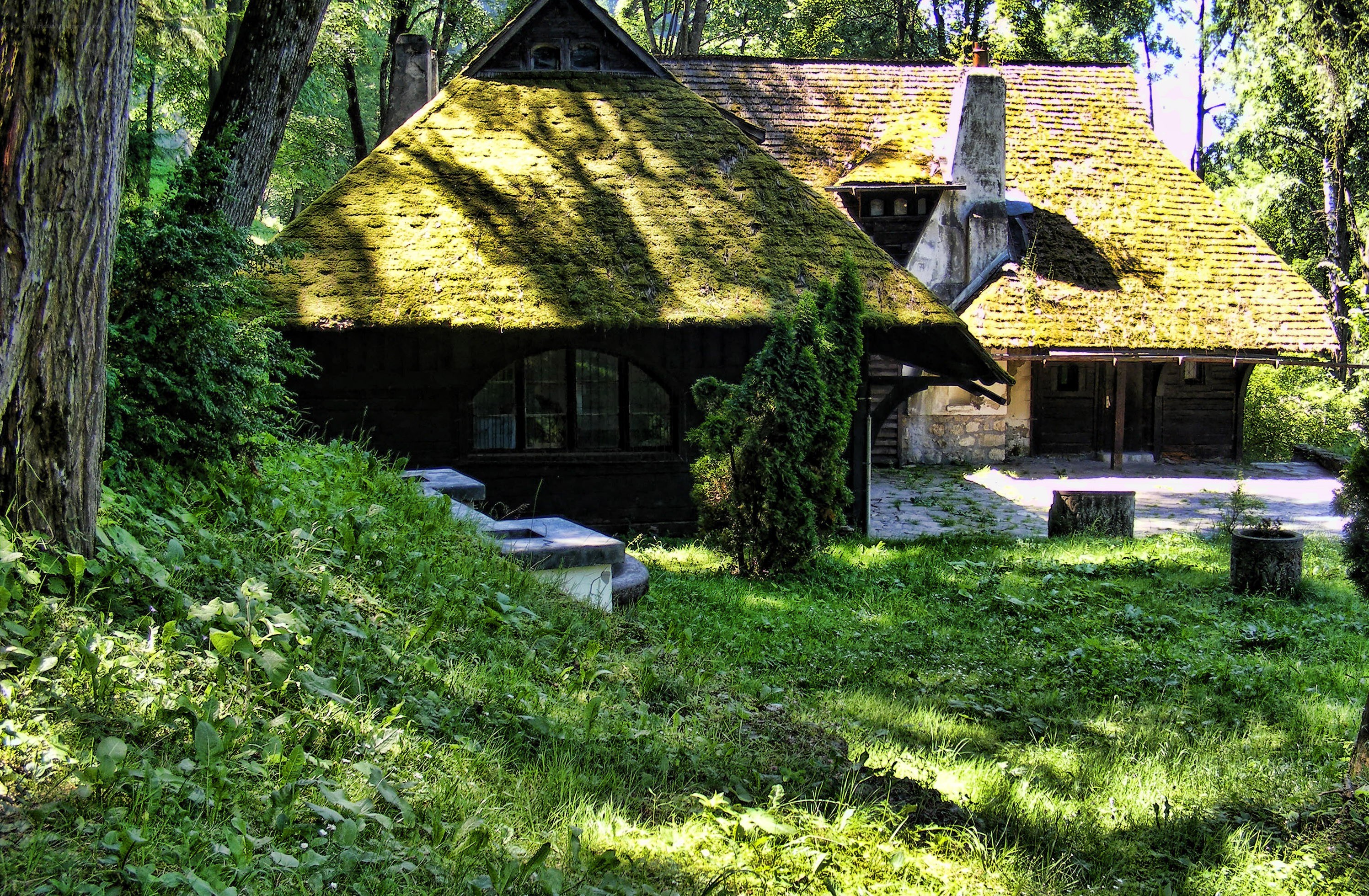 Moss-covered cottage in forest