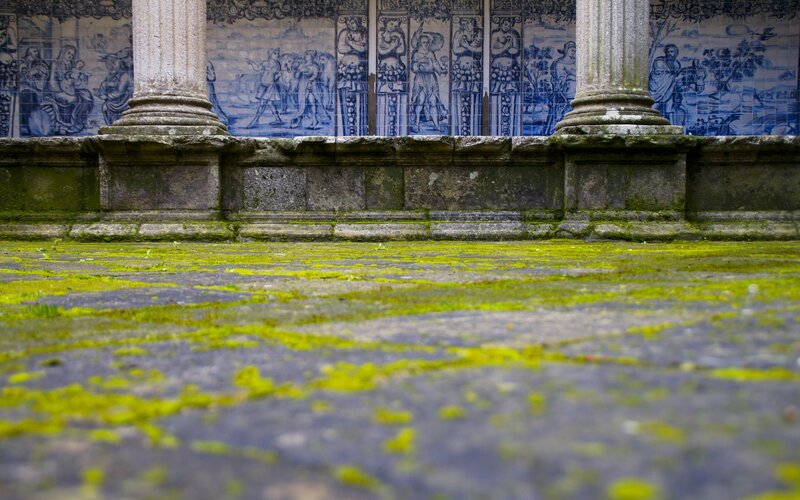 Moss-covered courtyard with tiled wall