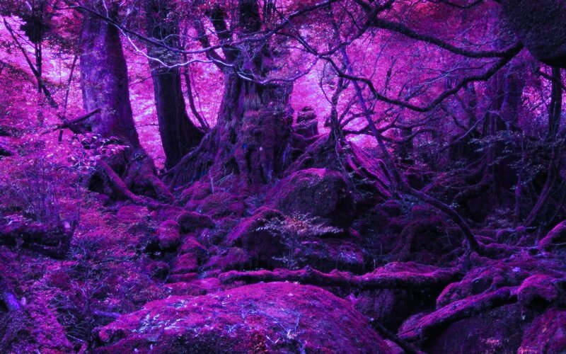 Moss-covered Forest — Purple