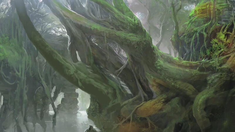 moss-covered forest roots