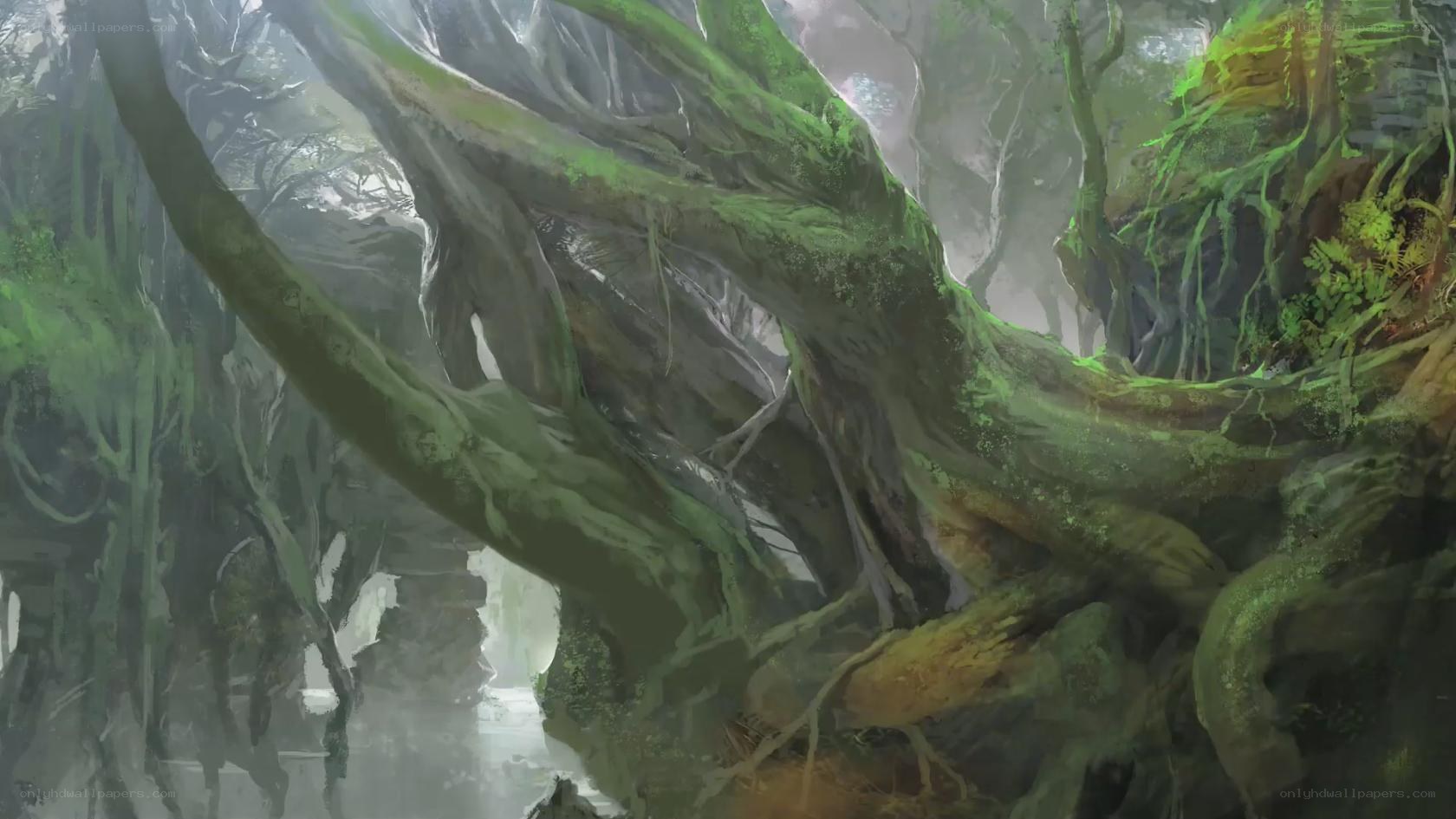 moss-covered forest roots