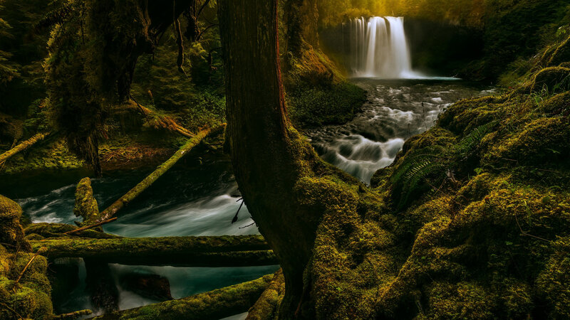 Moss-covered Forest Waterfall