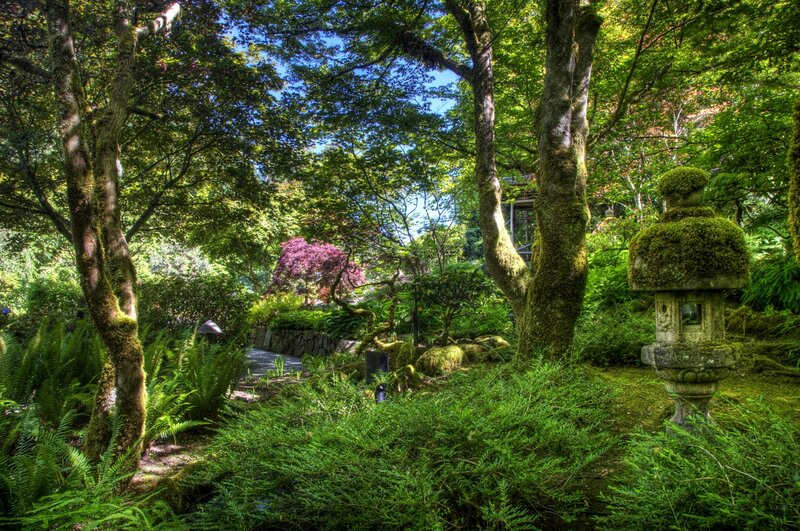 Moss-covered garden lantern