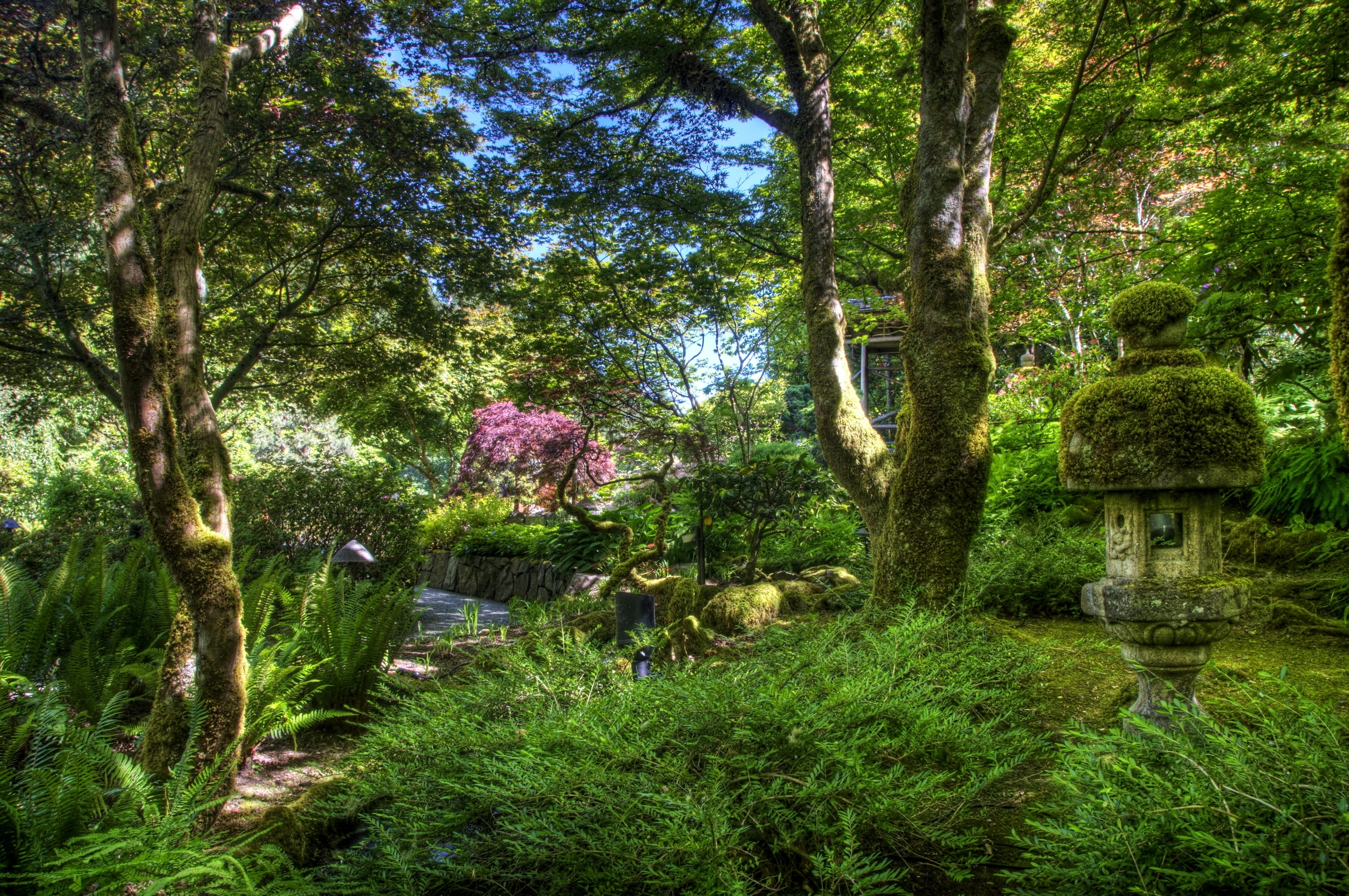 Moss-covered garden lantern