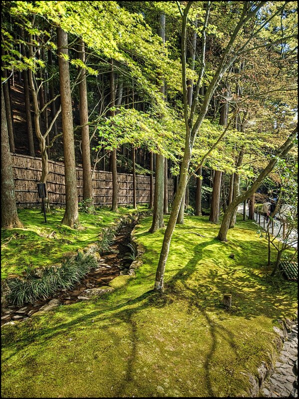 Moss-covered Garden Path — Green