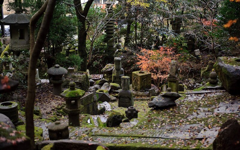 Moss-covered garden with stone lanterns