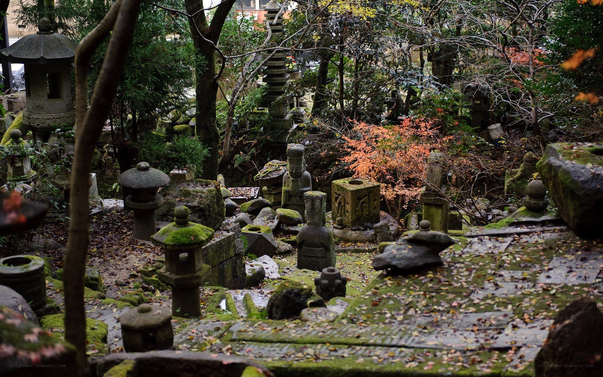 Moss-covered garden with stone lanterns